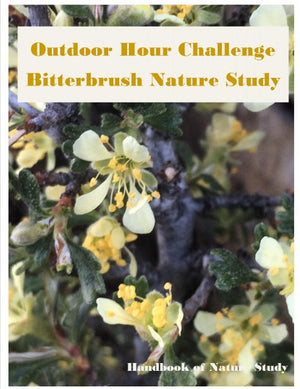 Brand New! Outdoor Hour Challenge:  Bitterbrush Nature Study