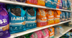 New $3/1 IAMS Coupon = Cat Food Just $5.89 After Target Gift Card (Regularly $14)