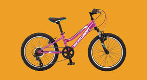 Is your child ready to graduate from biking the neighborhood to hitting the trail on a kids mountain bike? Then you need to look for kids mountain bikes, and of course, explore the best beginner mountain bikes. 