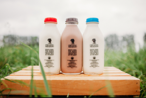 Organic Meadow Canada: Save $1 on 4L Milk Products