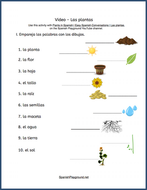 Spanish Plant Vocabulary and Activities