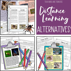 More Distance Learning Ideas