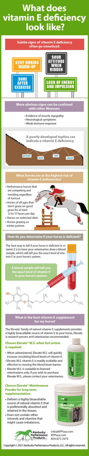 Vitamin E Deficiency, Presented by Kentucky Performance Products