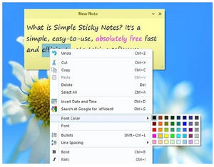 Simple Sticky Notes 4.9.5 + Portable [Latest]